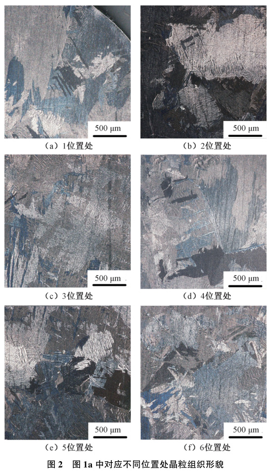 1729243097203632.jpg t2.jpg