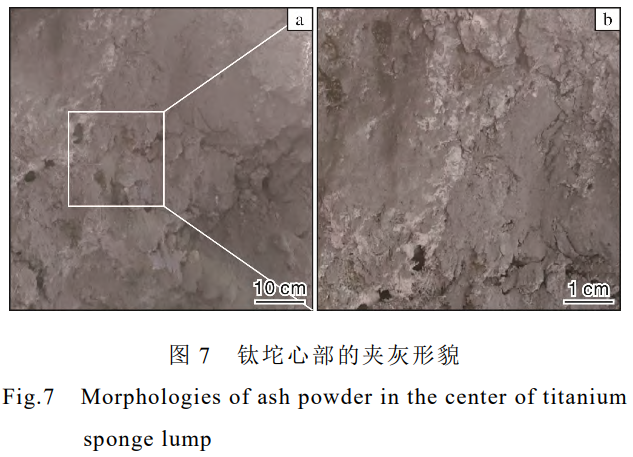 1732434712939286.png 7.png