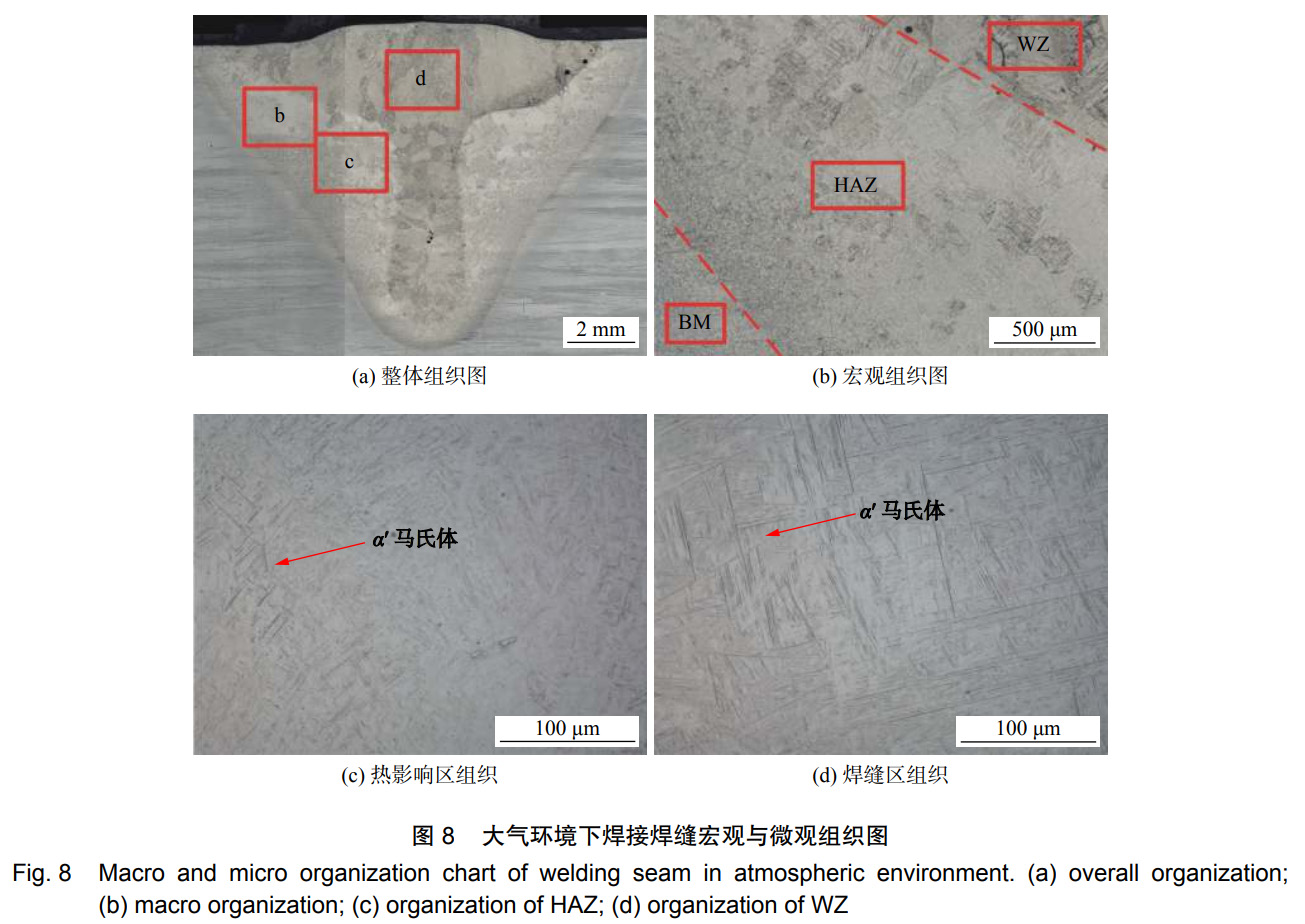 1735444223181171.jpg 未標(biāo)題-1.jpg